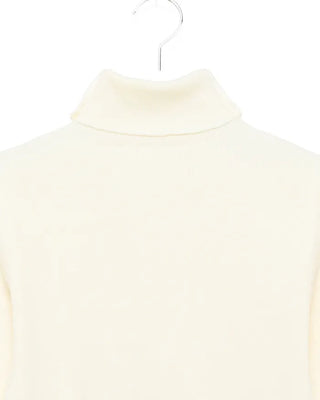 Basic turtleneck knit