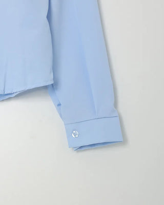 Crop Basic Long Sleeve Shirt
