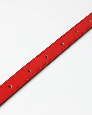 Silver buckle belt