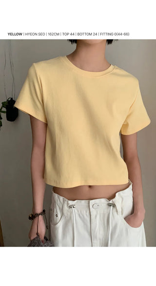 Lined Color Ribbed Crop Short Sleeve Tee