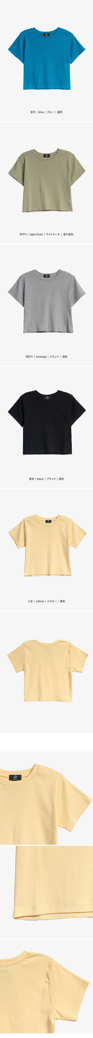 Lined Color Ribbed Crop Short Sleeve Tee