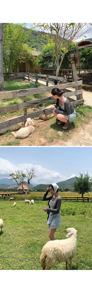 Cat Damage Wash Back Elastic Denim Shorts Ripped Jeans
