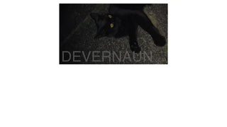 3 Eyelet Hobo Bag  / Three Eyelet Hobo Bag