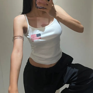 USA dyed nasi