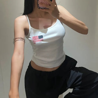 USA dyed nasi