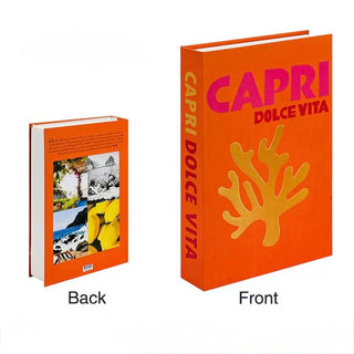 Travel Decorative Book
