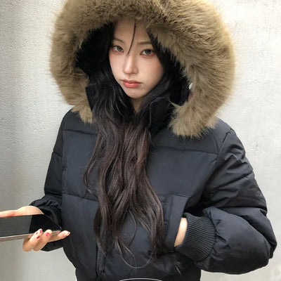 Poppy matte fur hooded short padding