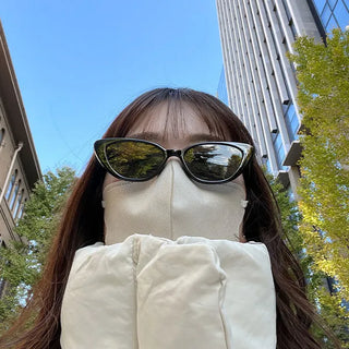 Cat sunglasses