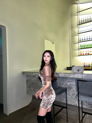 Lua Velvet Short Sleeve Mesh Shirred Party Dress