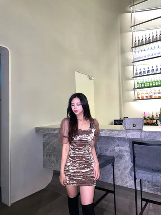 Lua Velvet Short Sleeve Mesh Shirred Party Dress