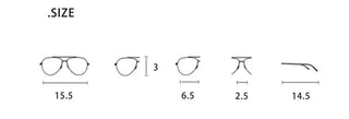 silver diamond glasses