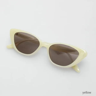 Cat sunglasses