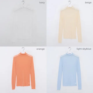 Colorful sheer turtleneck
