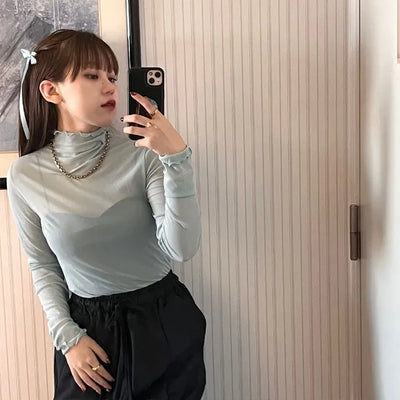 Colorful sheer turtleneck