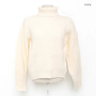Turtleneck knit