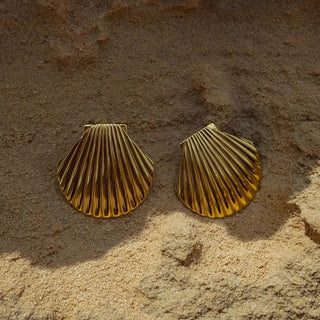 Shell Earrings