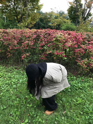 Natural Cotton Plain Field Jacket