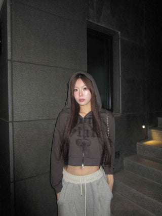 Sleeve Half Zip Crop Hoodie