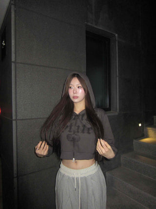 Sleeve Half Zip Crop Hoodie