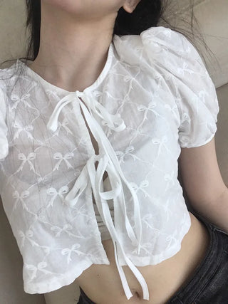 Nev Ribbon See-through Sleeve Puff Blouse