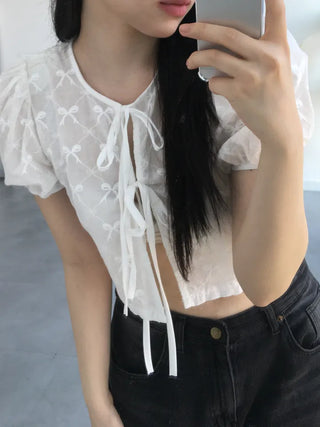 Nev Ribbon See-through Sleeve Puff Blouse