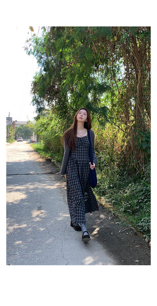 embroidered plaid  dress