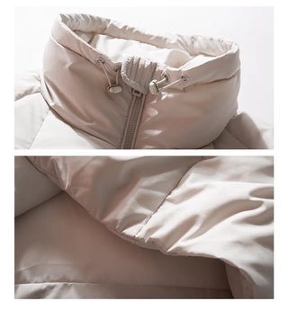 stand collar jacket