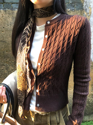 leopard print scarf
