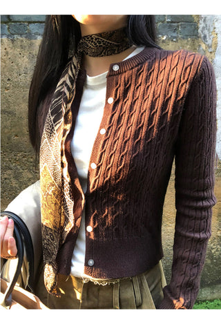 leopard print scarf