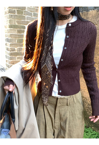 leopard print scarf