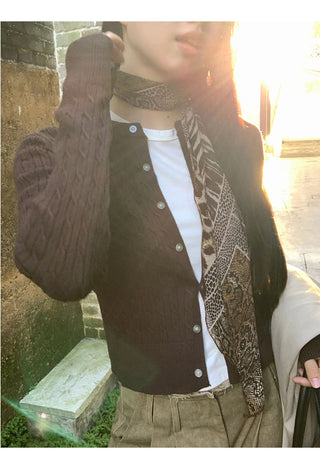 leopard print scarf