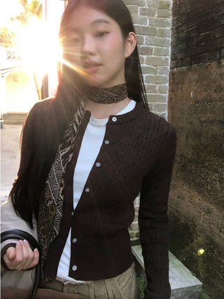 leopard print scarf