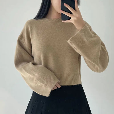 Round Basic Knit Crop T-shirt Autumn/Winter Basic Daily Round Neck Long Sleeve Avant-garde Cozy Tops