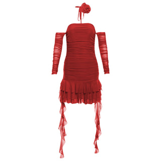 Long sleeve sheer mesh flower applique mini dress