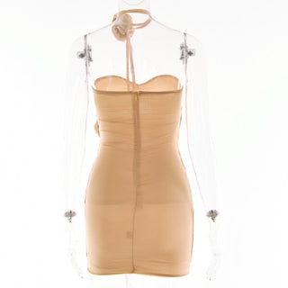 Sheer mesh hollow out flower applique zip-up solid tube cut out mini dress