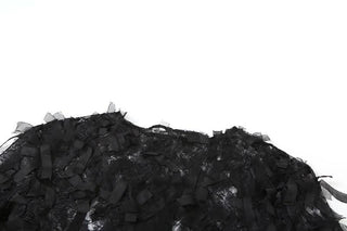 Long sleeve mesh ruffle crop short pant set