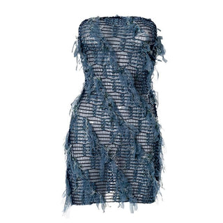 Sheer mesh textured stitch tube mini dress