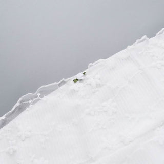 Off shoulder long sleeve mesh embroidery top