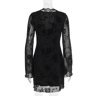 V neck long sleeve flower pattern mesh mini dress