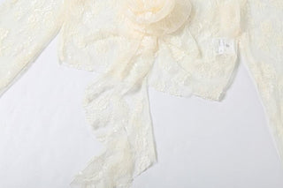Long sleeve lace flower applique crop top
