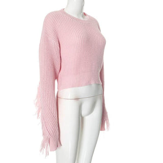 Long sleeve crewneck tassels knitted top