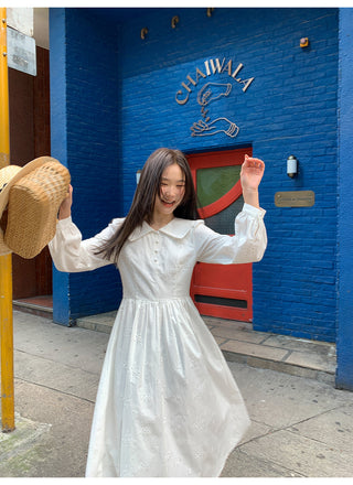 Embroidered dress