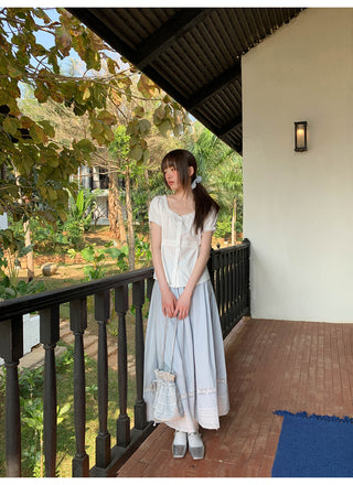 Lace A-line skirt