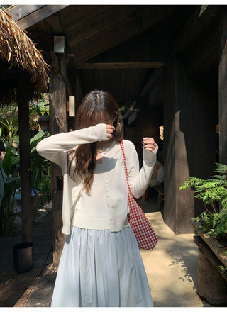Lace A-line skirt