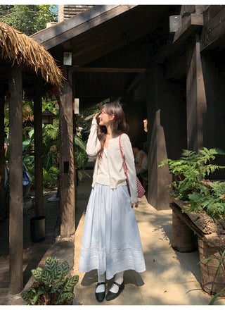 Lace A-line skirt
