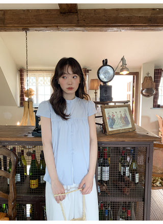 Stand collar pleated blouse