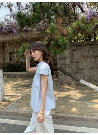 Stand collar pleated blouse