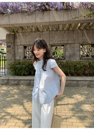 Stand collar pleated blouse