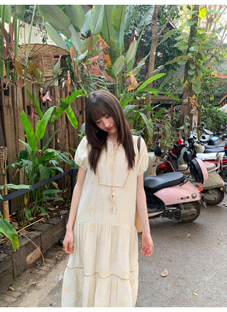 Bohemian embroidered dress