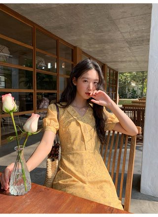 French V-neck dress